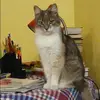 Отзыв от Лена Федотова
